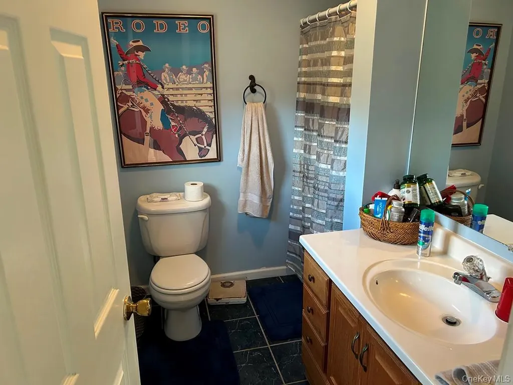 105 Sheldon Road Wingdale NY 12594