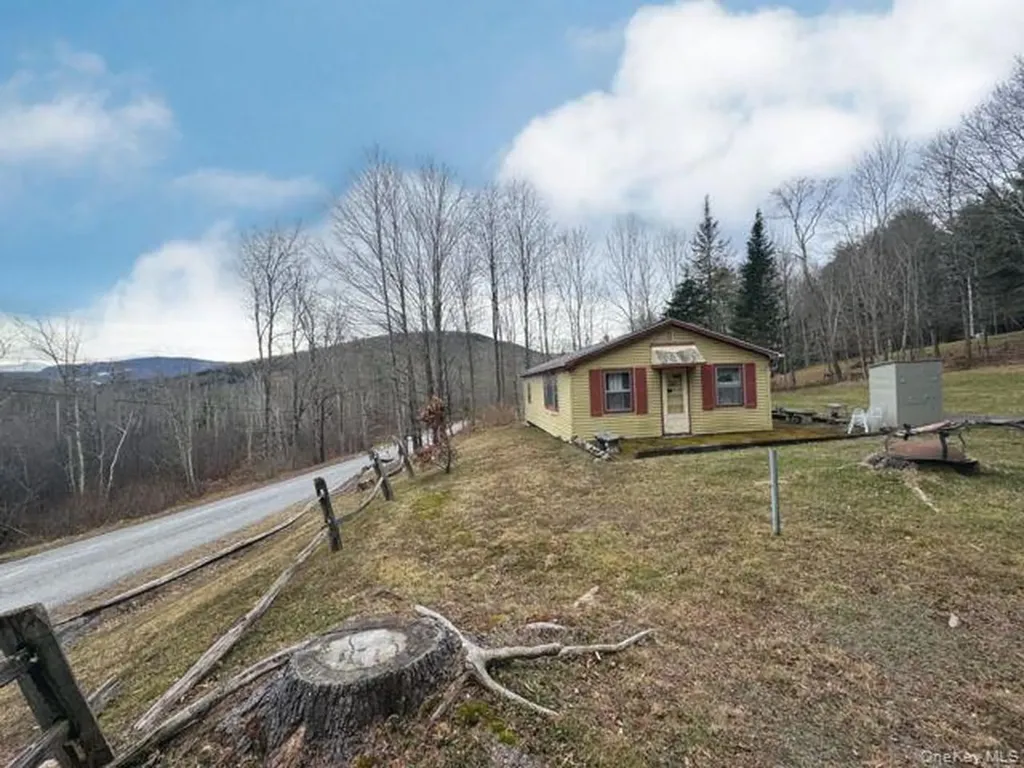 49 Ryan Road Hunter NY 12444