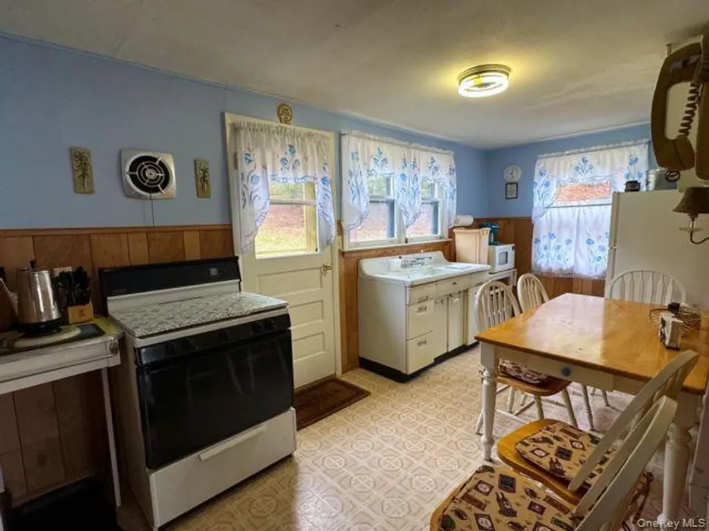 49 Ryan Road Hunter NY 12444