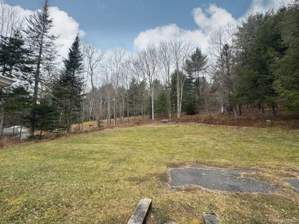 49 Ryan Road Hunter NY 12444