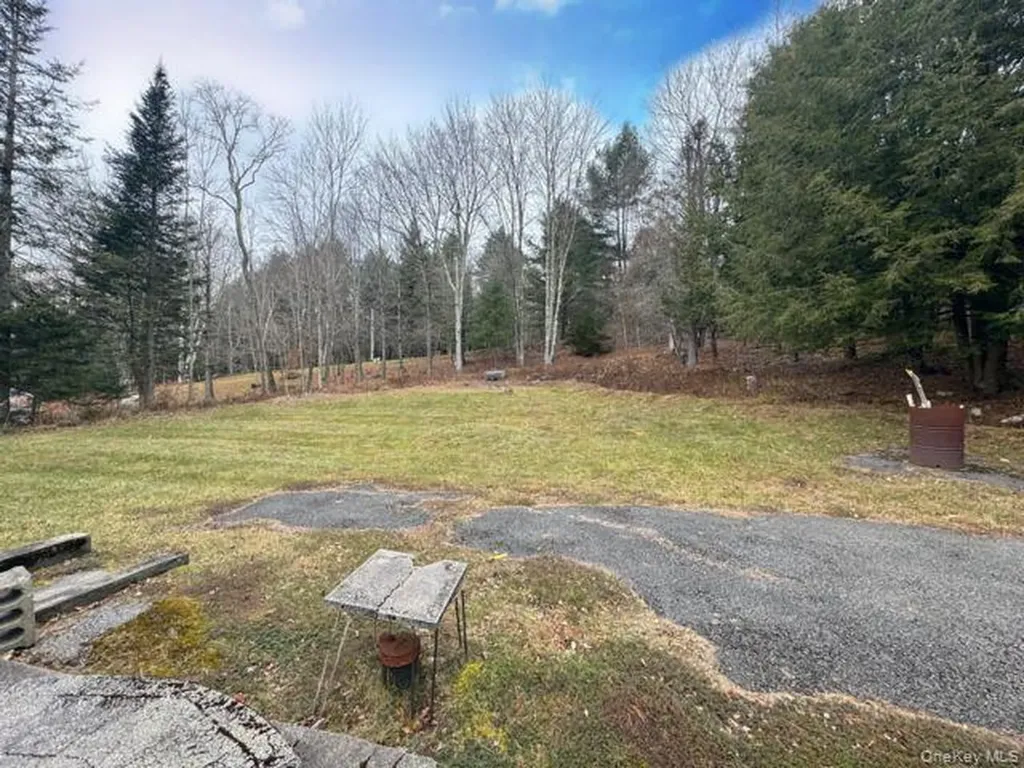 49 Ryan Road Hunter NY 12444