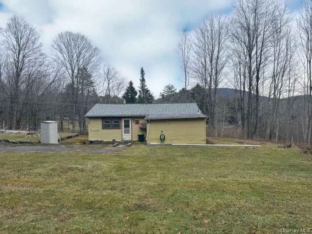 49 Ryan Road Hunter NY 12444