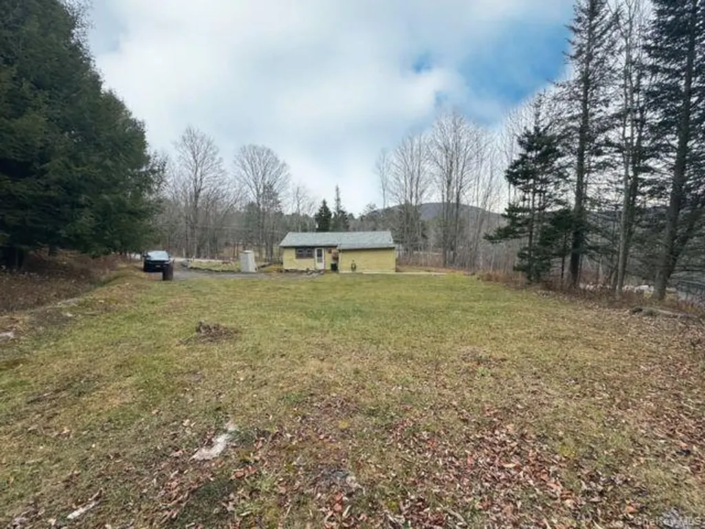49 Ryan Road Hunter NY 12444