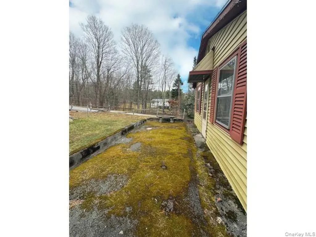 49 Ryan Road Hunter NY 12444
