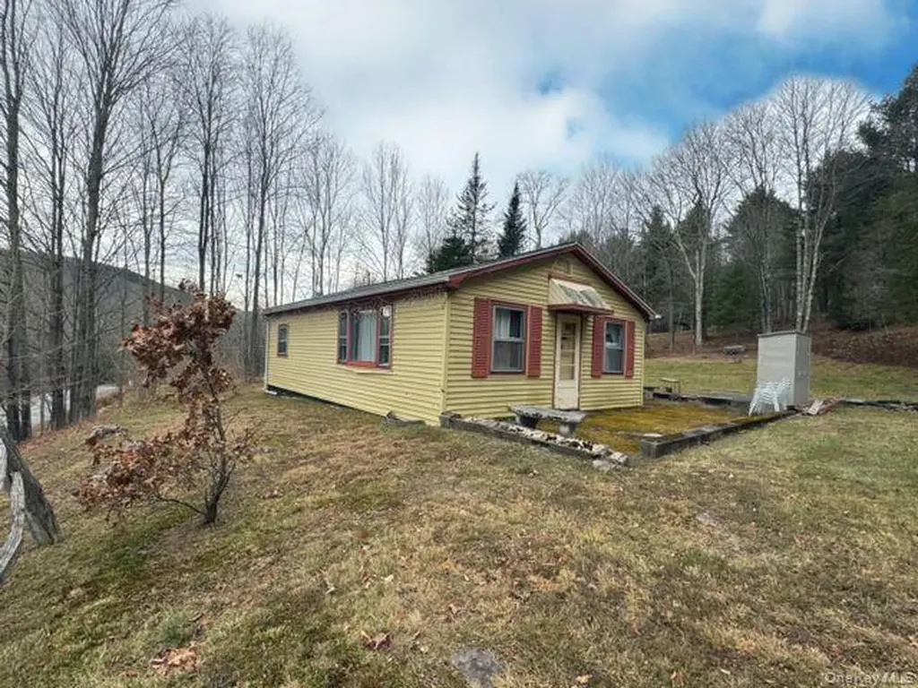 49 Ryan Road Hunter NY 12444