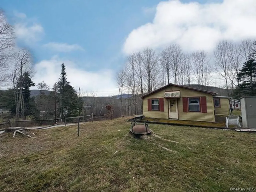 49 Ryan Road Hunter NY 12444
