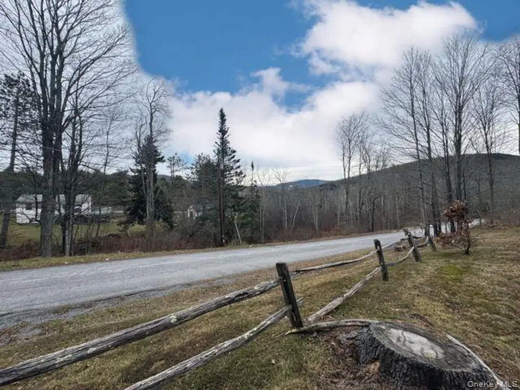 49 Ryan Road Hunter NY 12444