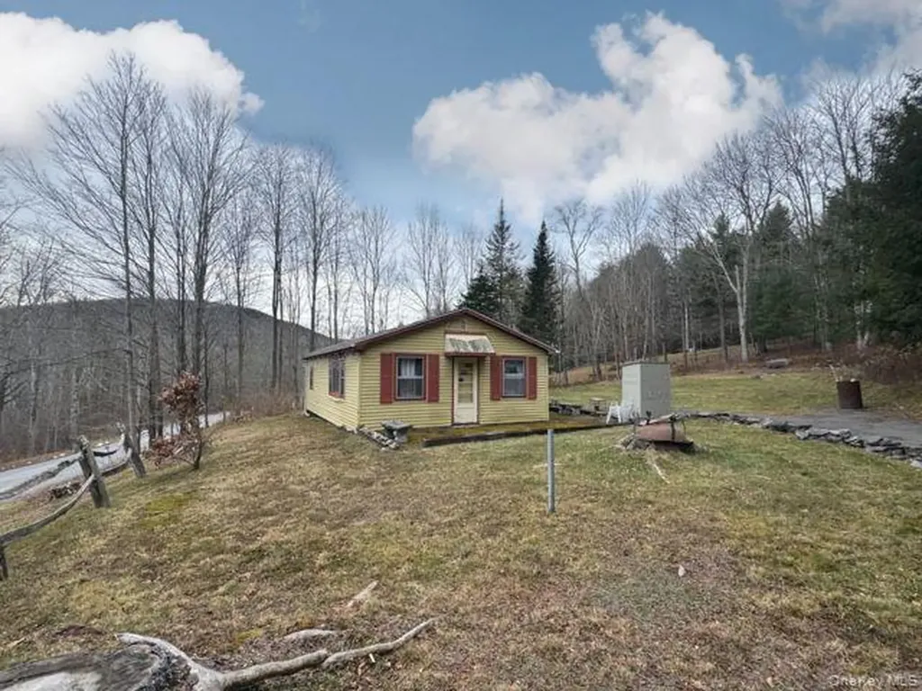 49 Ryan Road Hunter NY 12444
