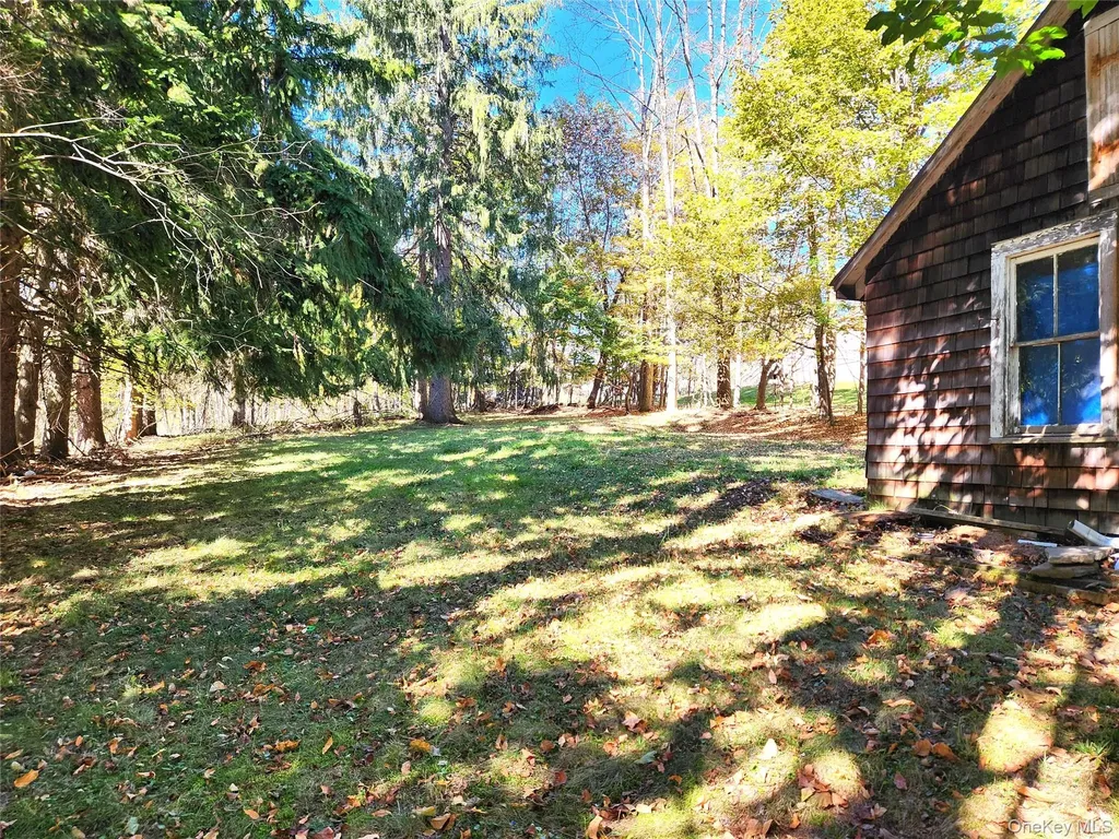 35 Youngs Hill Road Liberty NY 12754