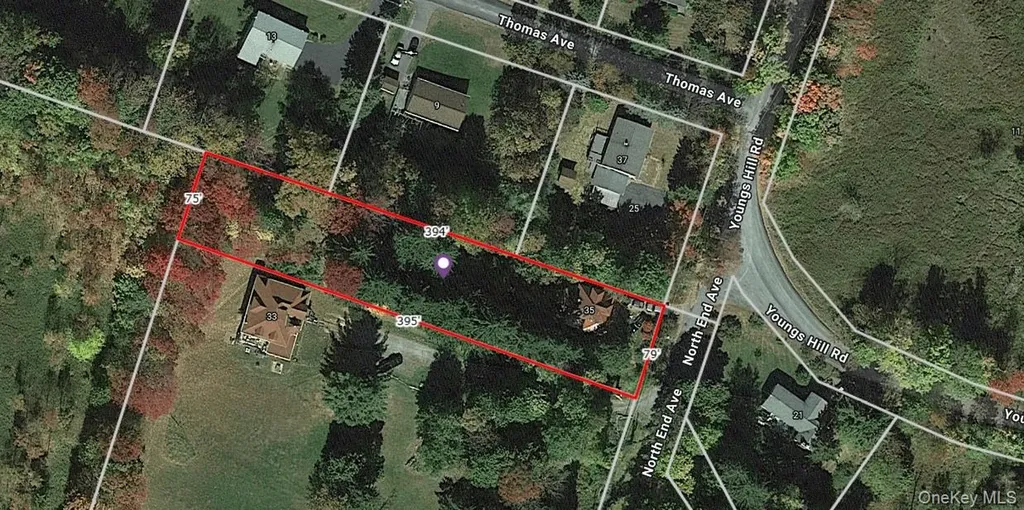 35 Youngs Hill Road Liberty NY 12754