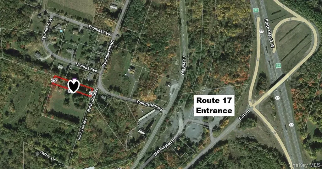 35 Youngs Hill Road Liberty NY 12754