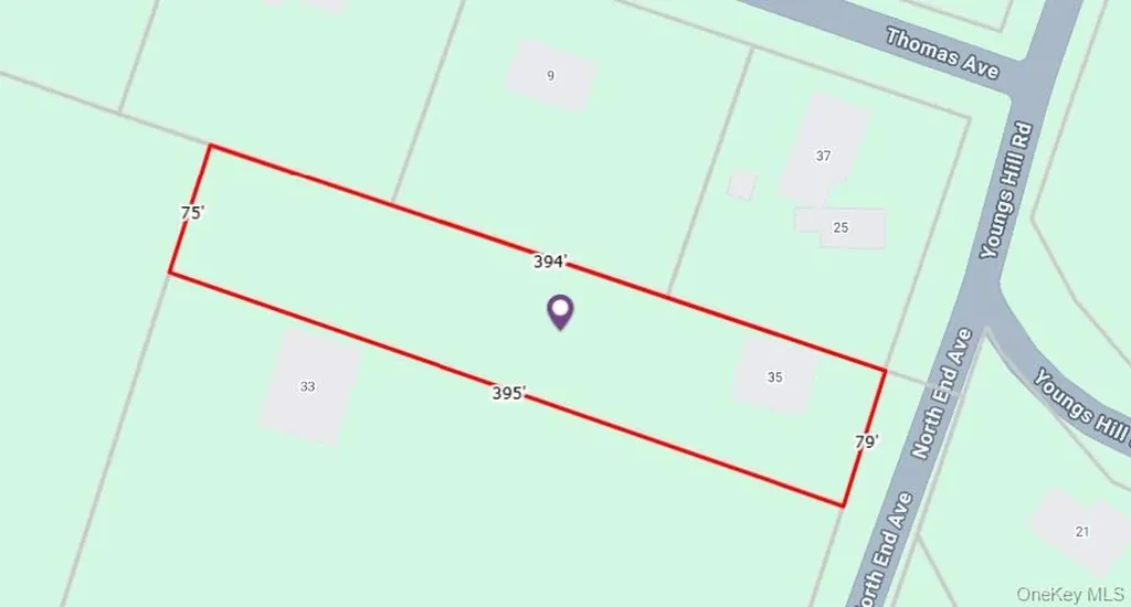 35 Youngs Hill Road Liberty NY 12754