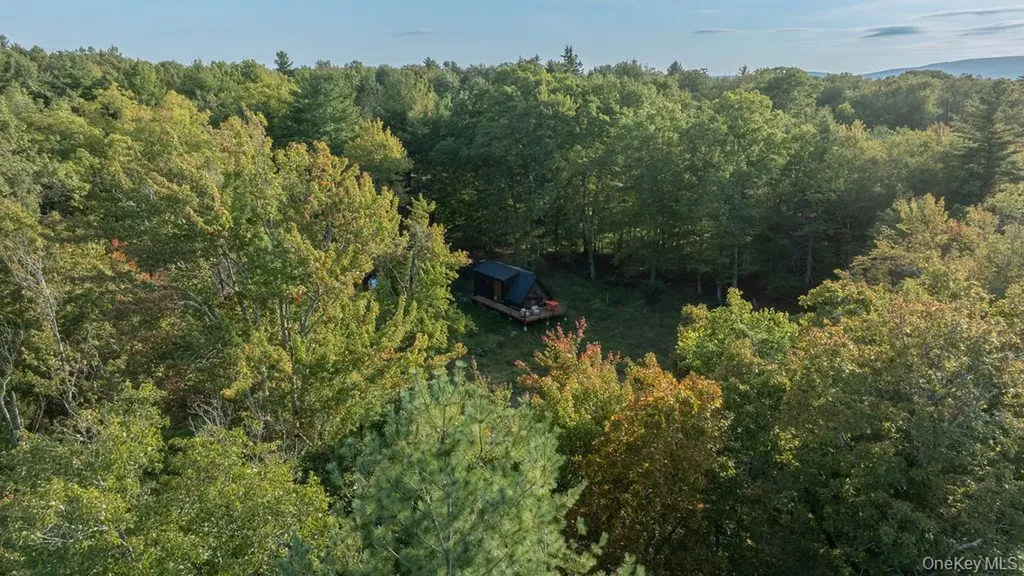 26 Kelder Road Olivebridge NY 12461