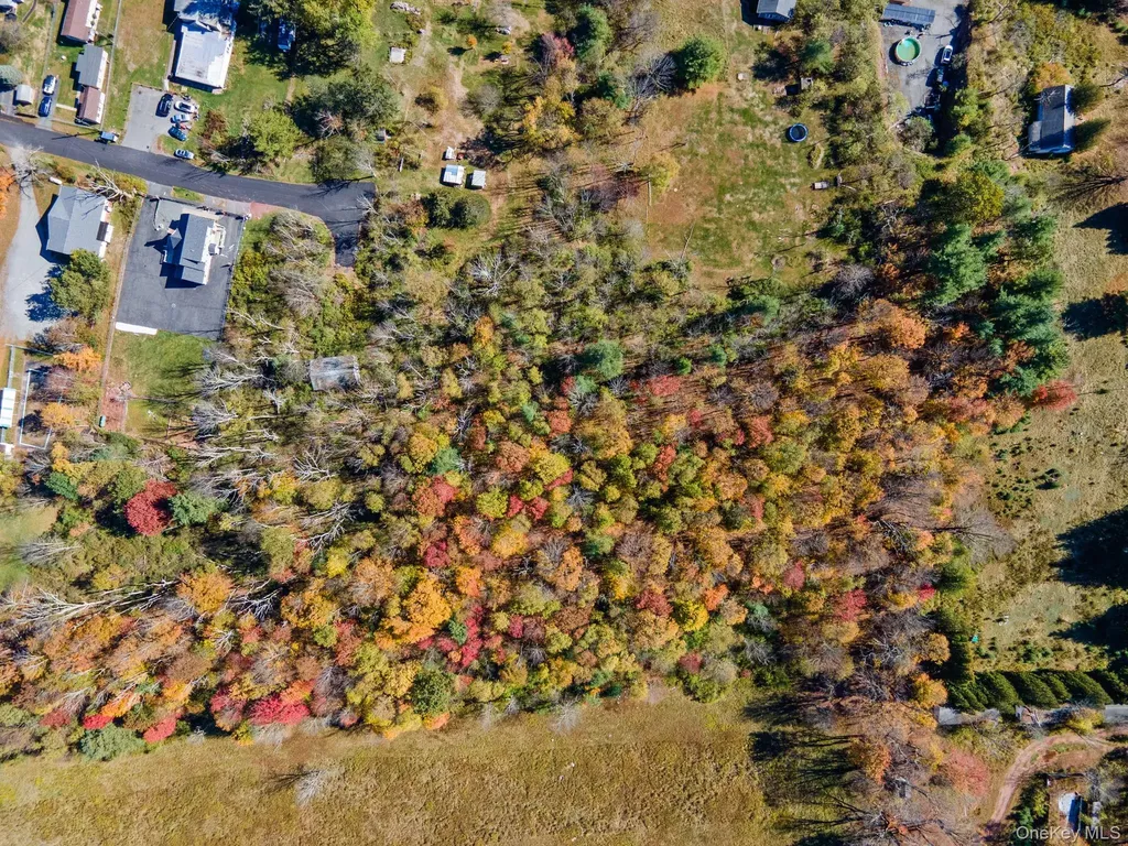 Highland Avenue Monticello NY 12701