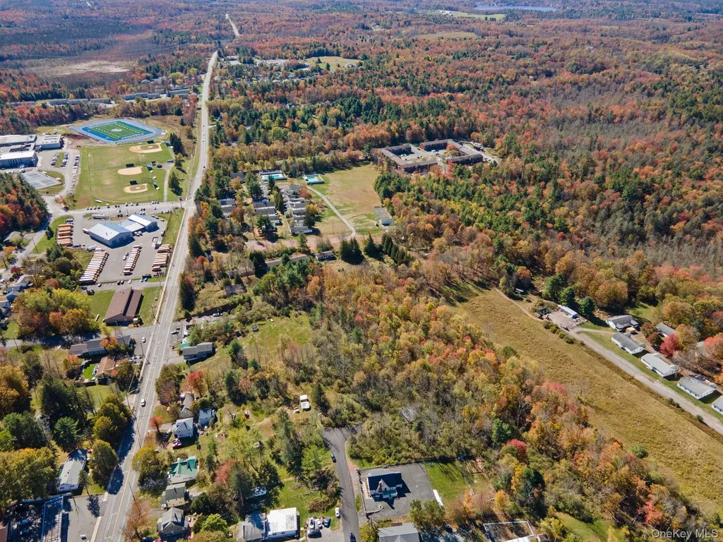 Highland Avenue Monticello NY 12701