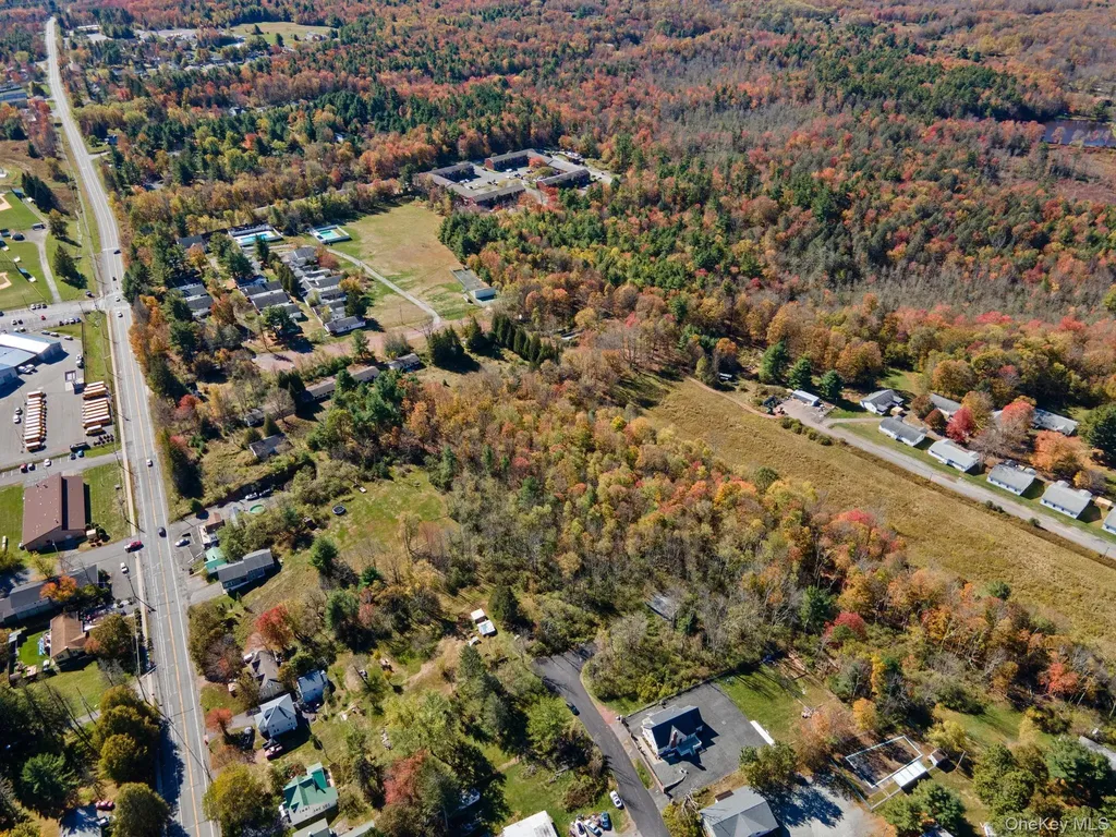 Highland Avenue Monticello NY 12701