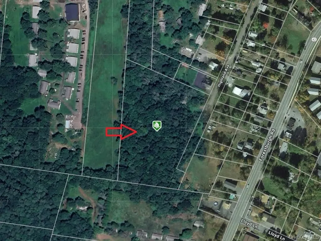Highland Avenue Monticello NY 12701