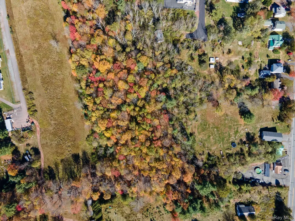 Highland Avenue Monticello NY 12701