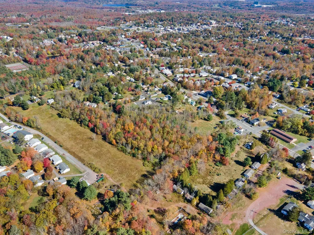 Highland Avenue Monticello NY 12701