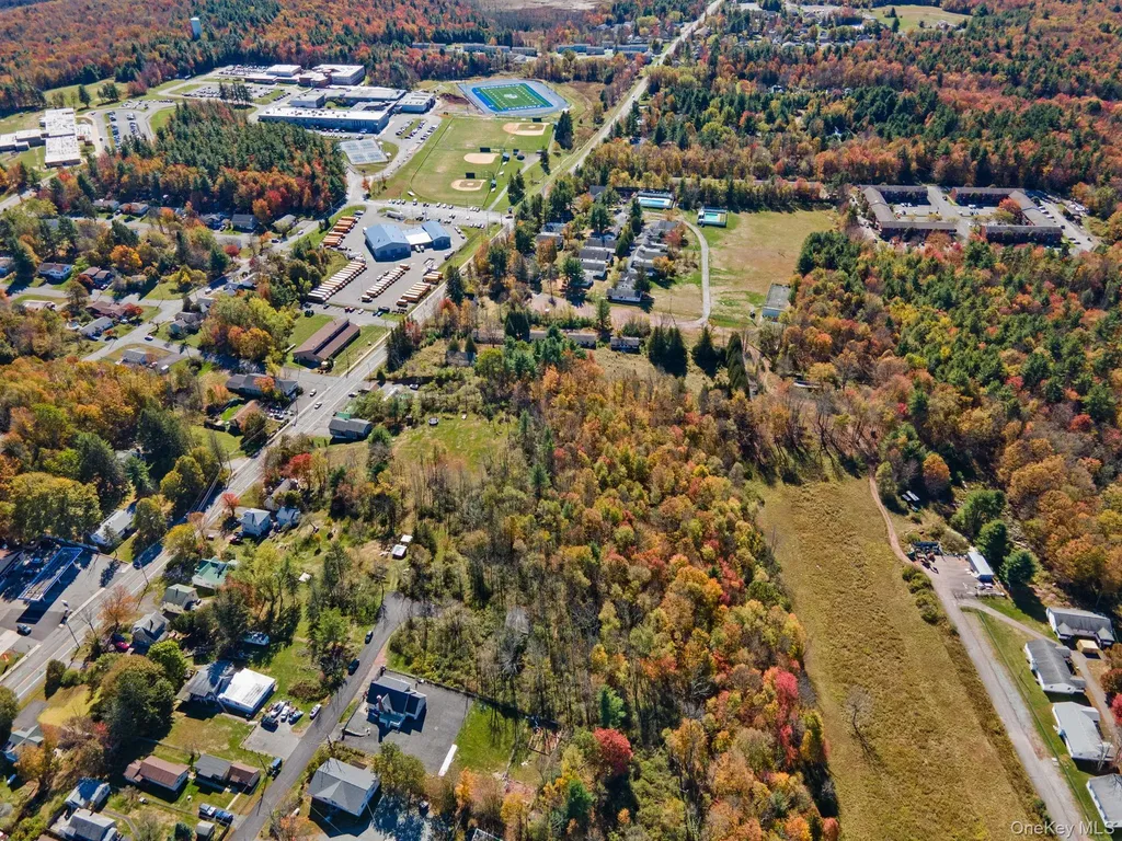 Highland Avenue Monticello NY 12701