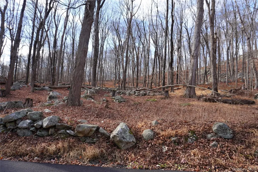 Knapp Court S Carmel NY 10512