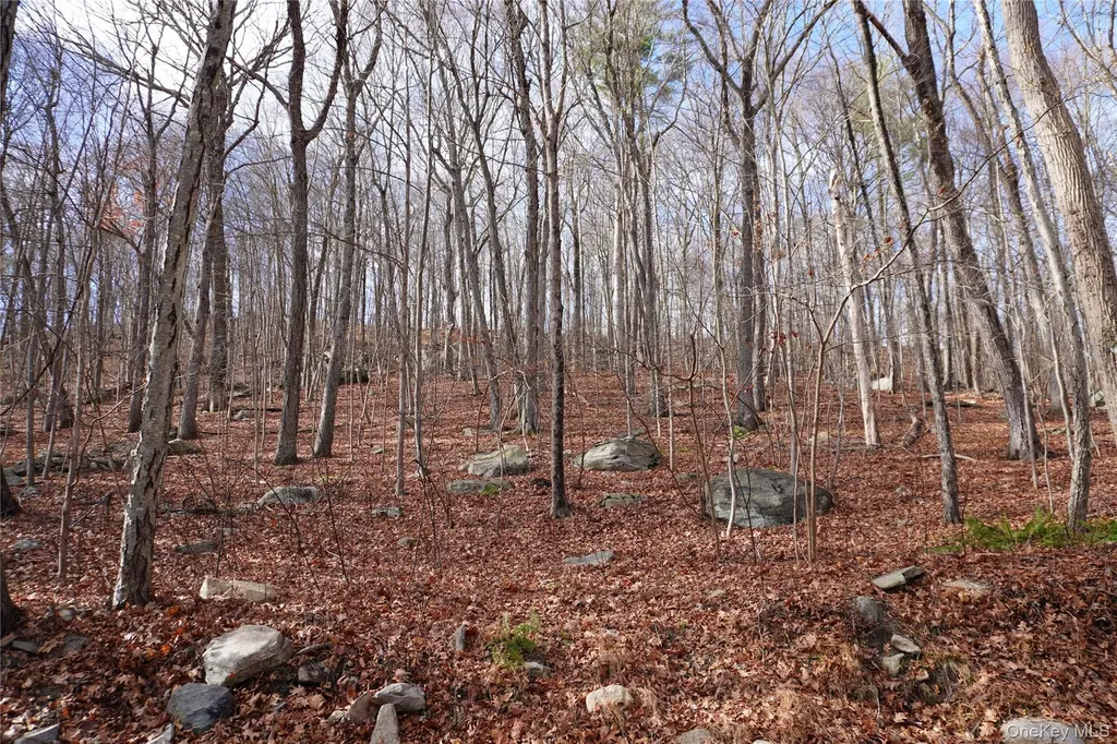 Knapp Court S Carmel NY 10512