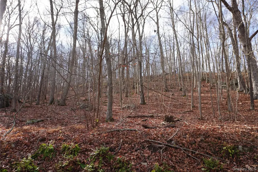 Knapp Court S Carmel NY 10512