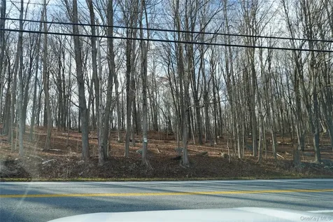 RT-301 Carmel NY 10512