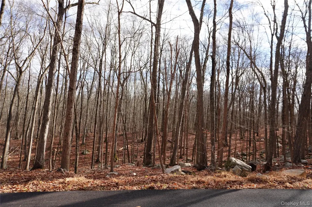 Route 301 Rt-301 Carmel NY 10512