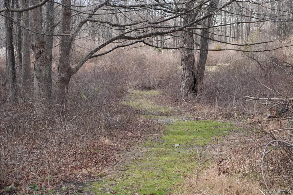 Route 301 Rt-301 Carmel NY 10512