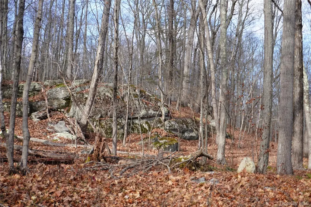 Route 301 Rt-301 Carmel NY 10512
