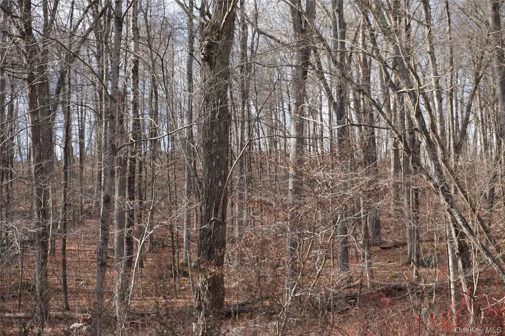 Route 301 Rt-301 Carmel NY 10512