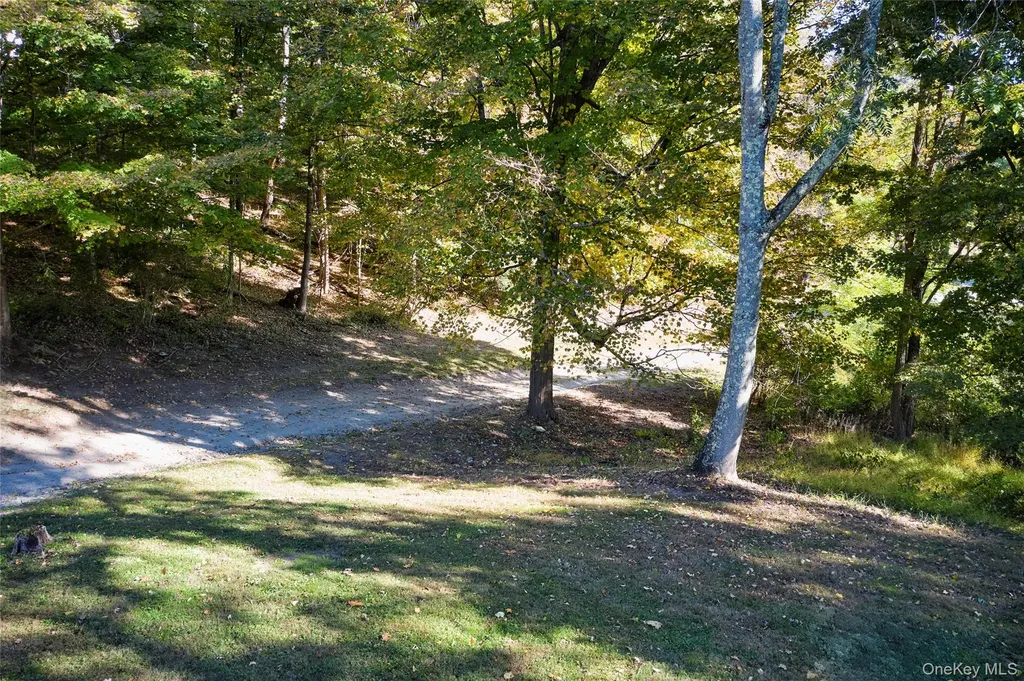 568 Oak Summit Road Millbrook NY 12545