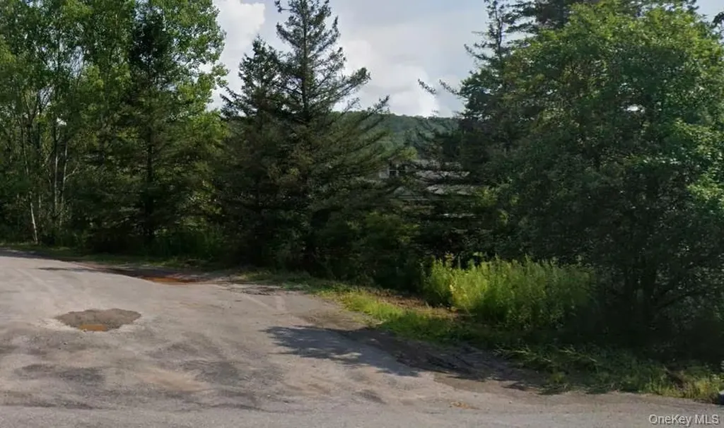 00 Crescent Hill Road Andes NY 13731