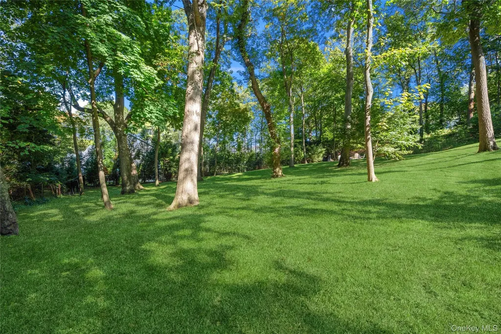 16 Pine Road Syosset NY 11791