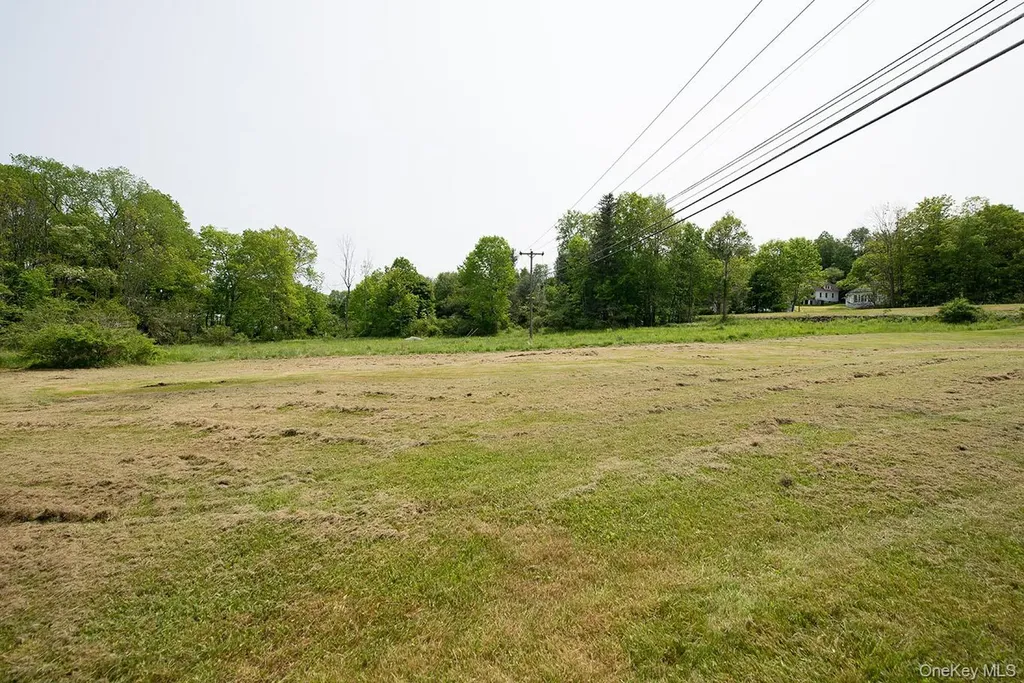 1132 Old Route 17 Ferndale NY 12734