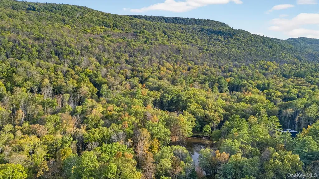 55 Ginger Road High Falls NY 12440