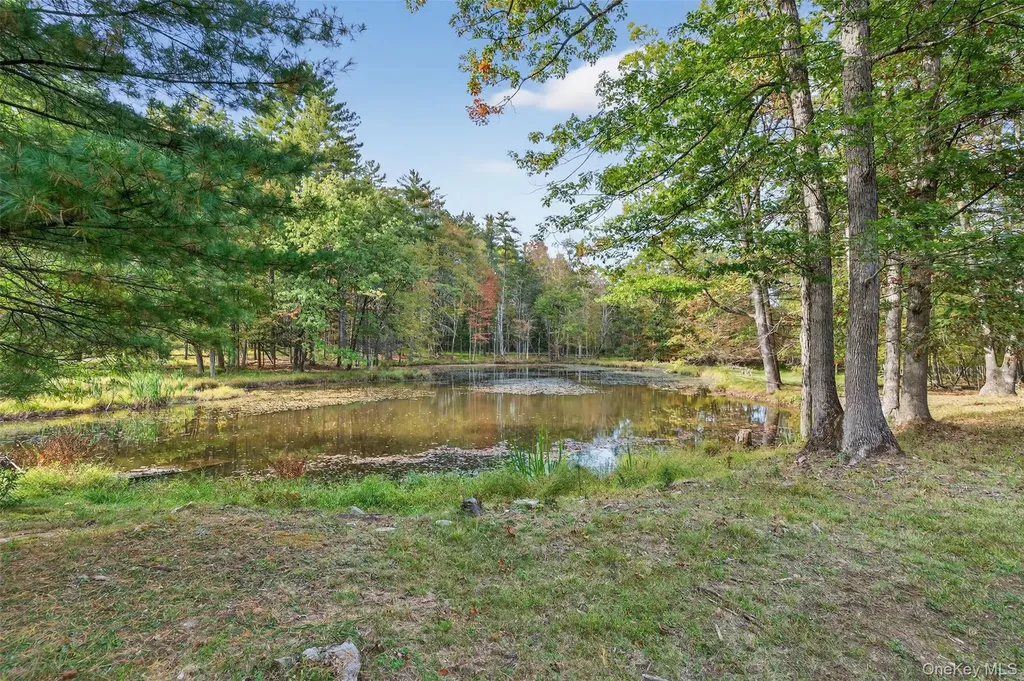 55 Ginger Road High Falls NY 12440
