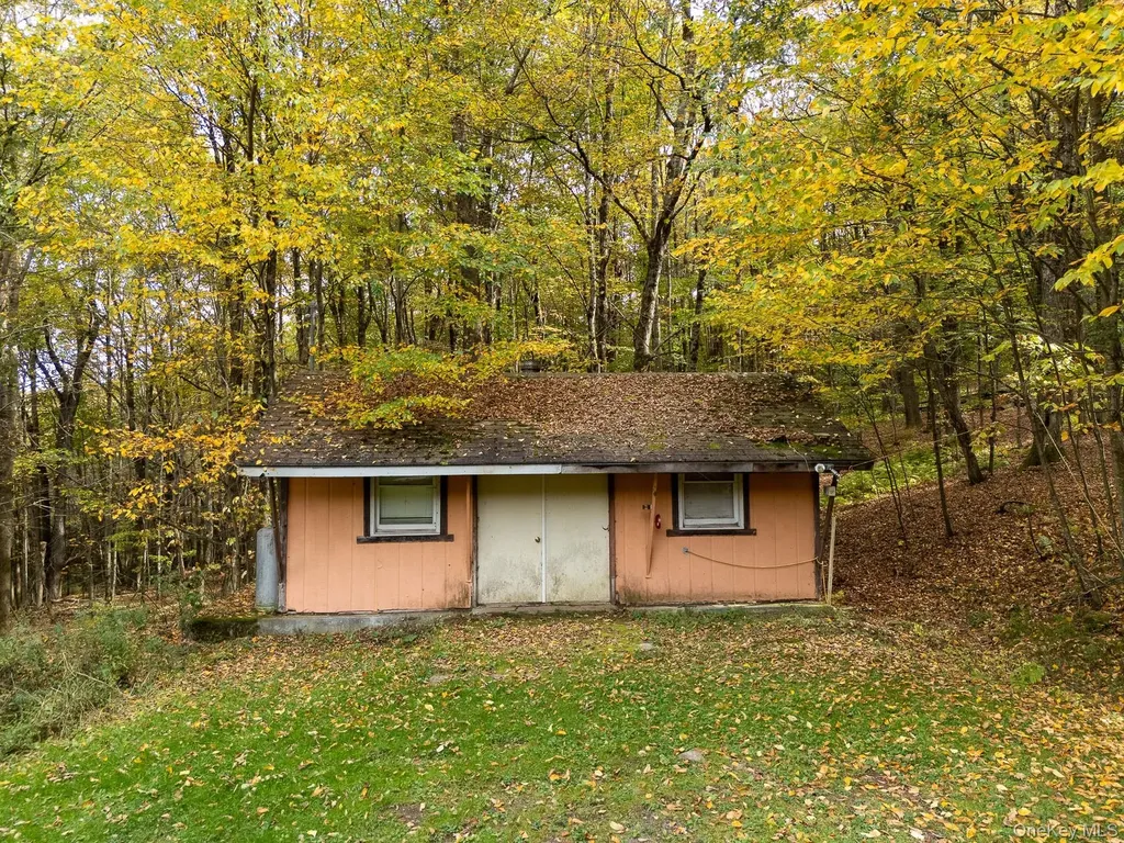 515 Magic Mountain Road Bloomville NY 13739