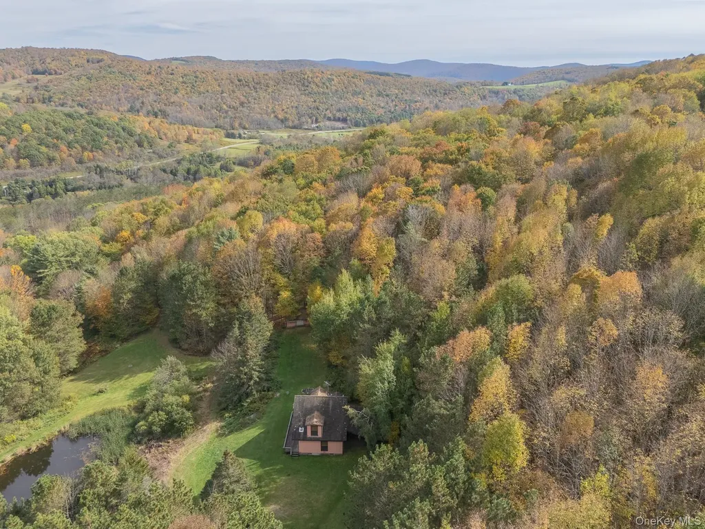 515 Magic Mountain Road Bloomville NY 13739