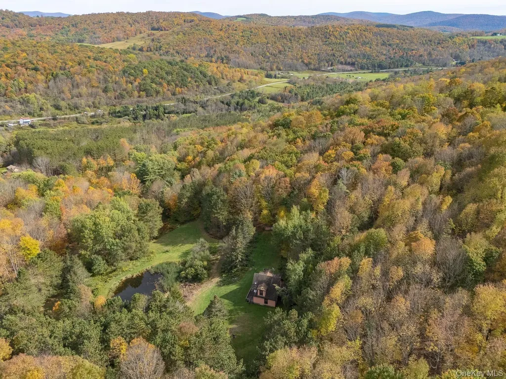 515 Magic Mountain Road Bloomville NY 13739