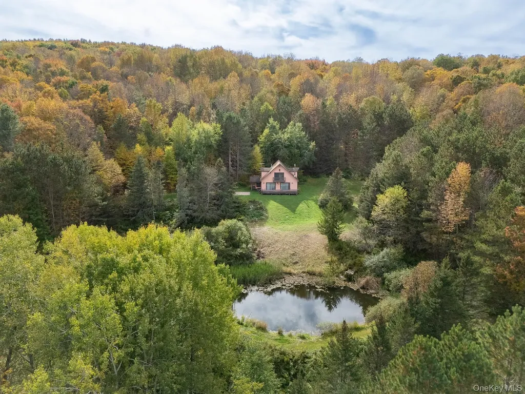 515 Magic Mountain Road Bloomville NY 13739