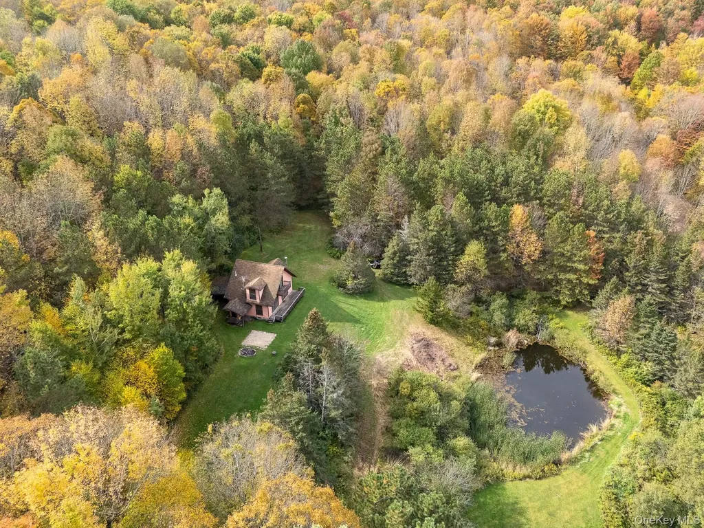 515 Magic Mountain Road Bloomville NY 13739