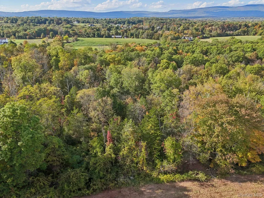 728 State Route 302 Pine Bush NY 12566