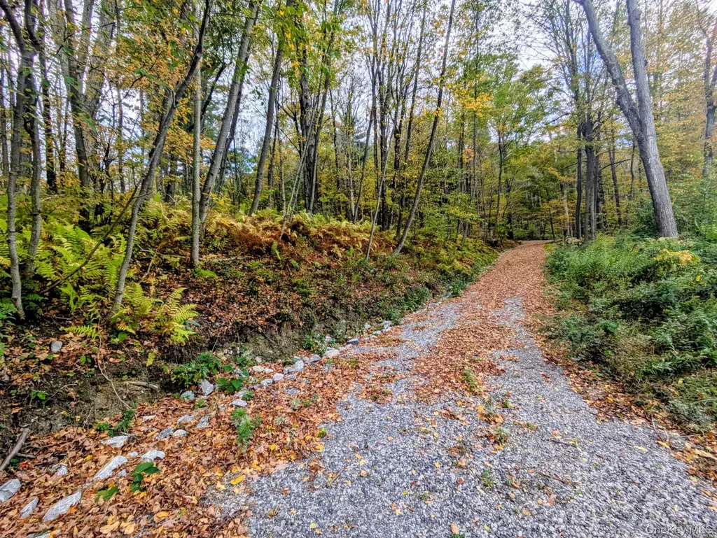 RT-199 Stanfordville NY 12581