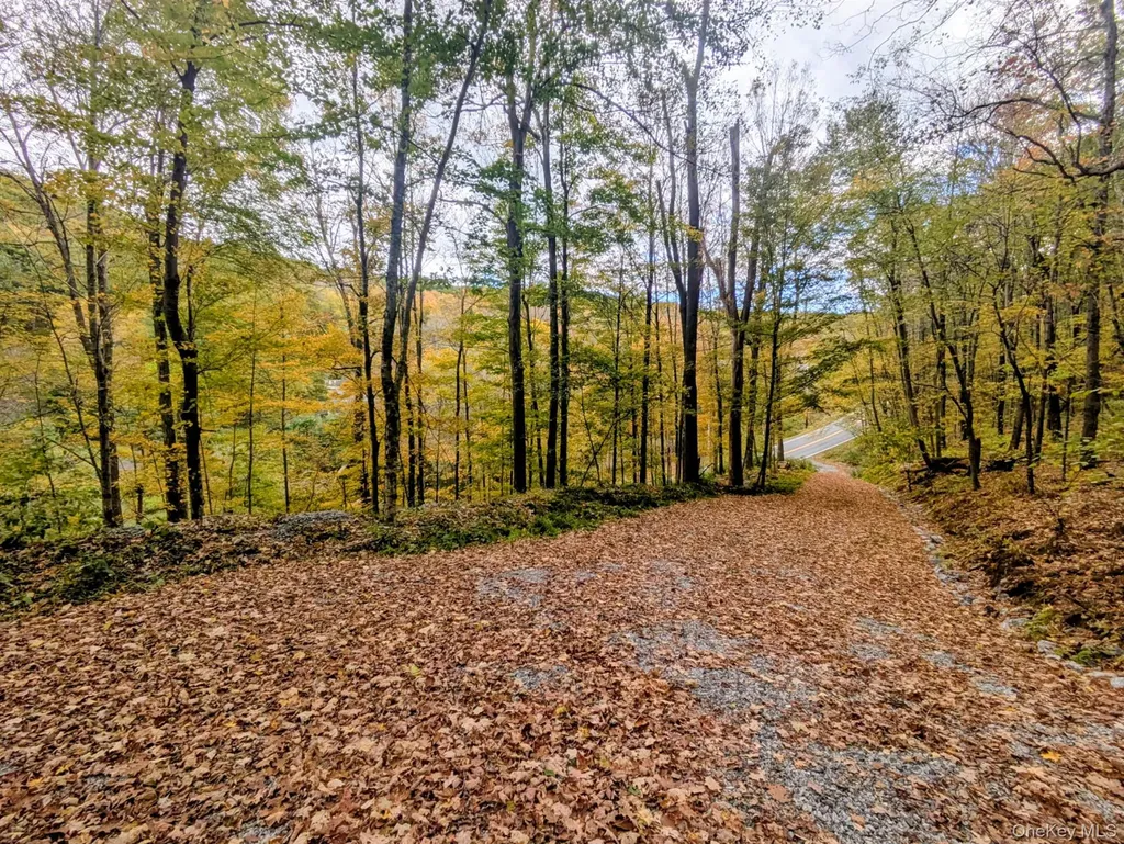 RT-199 Stanfordville NY 12581