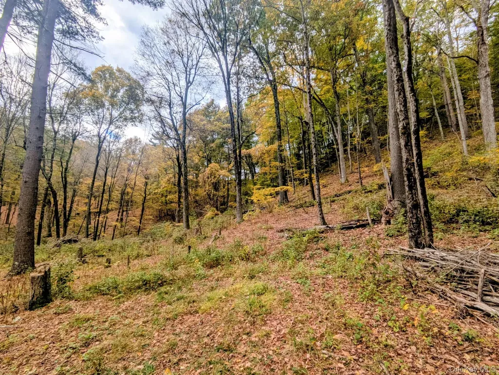 RT-199 Stanfordville NY 12581