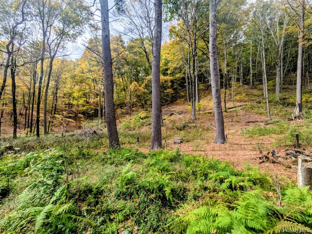 RT-199 Stanfordville NY 12581