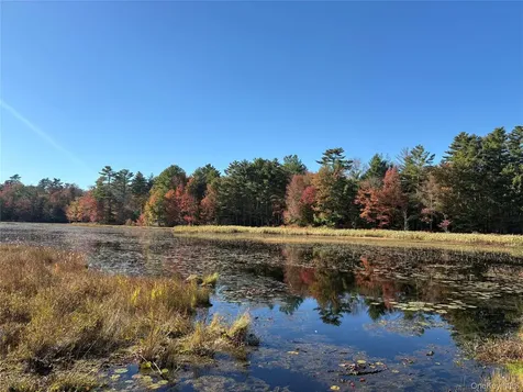 Lot 4 Deer Meadow Road White Lake NY 12786