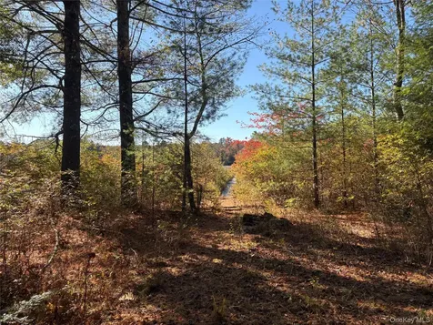 Lot 4 Deer Meadow Road White Lake NY 12786